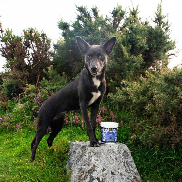 Proflax Joint & Mobility Blend For Dogs - Mega Mobility