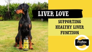 Proflax Liver & Cleansing Support For Dogs - Liver Love