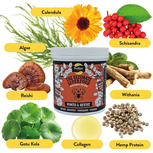 Proflax Muscle & Recovery Support For Dogs - Power & Revive