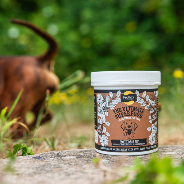 Proflax Anal Gland Support For Dogs - Bottoms Up