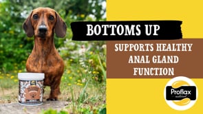 Proflax Anal Gland Support For Dogs - Bottoms Up