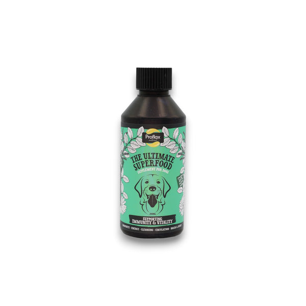 Proflax Immune & Energy Support For Dogs