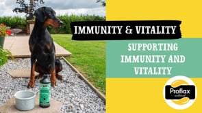 Proflax Immune & Energy Support For Dogs