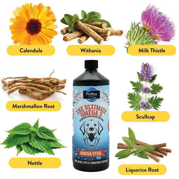 Proflax Salmon Oil For Skin & Gut Health - Omega Vital