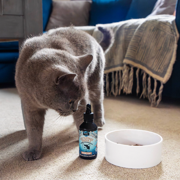 Proflax Salmon Oil Supplement For Cats - Feline Fine