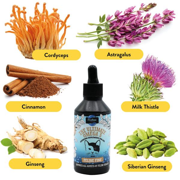 Proflax Salmon Oil Supplement For Cats - Feline Fine