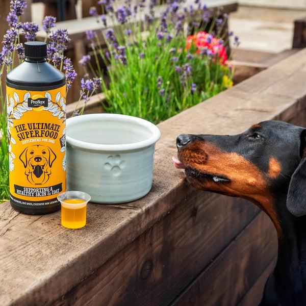 proflax Skin & Coat Support For Dogs