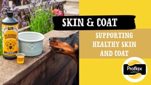 proflax Skin & Coat Support For Dogs