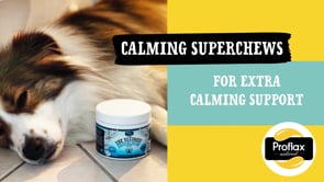 Proflax Soft Chews For Functional Support - Calming
