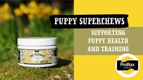 Proflax Soft Chews For Functional Support - Puppy