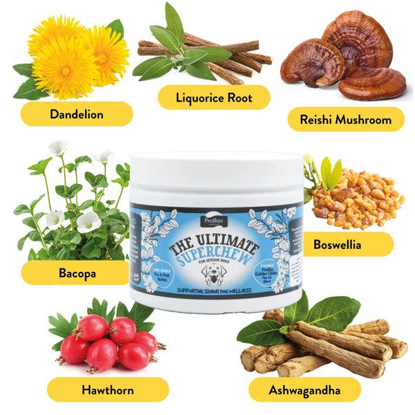 Proflax Soft Chews For Functional Support - Senior