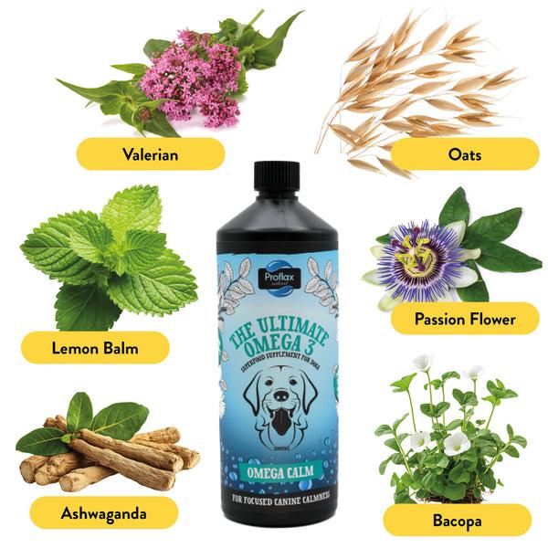 Proflax Targeted Wellness Bundle - Mini Chill Out
