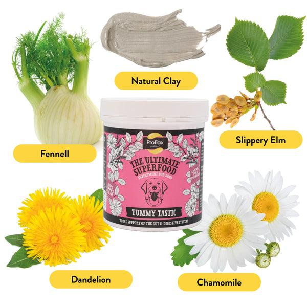 Proflax Targeted Wellness Bundle - Mini Detox