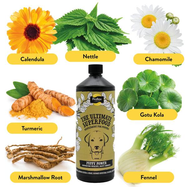 Proflax Targeted Wellness Bundle - Puppy (Premium)