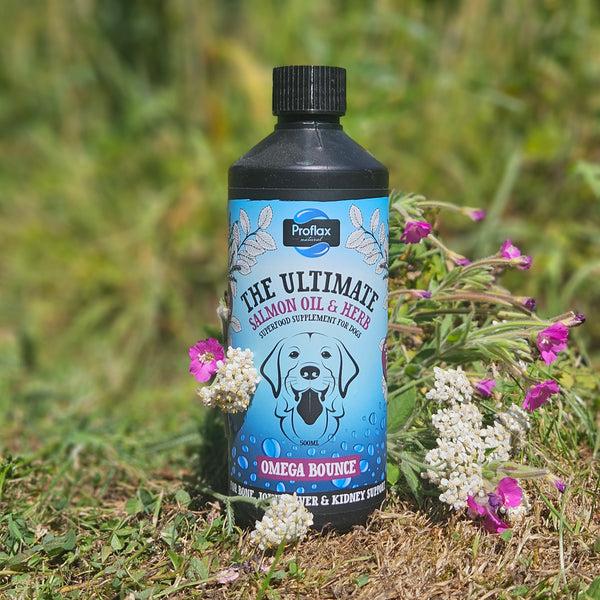 Proflax Salmon Oil For Joint & Mobility Support - Omega Bounce