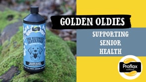 Proflax Senior Complete Blend For Dogs - Golden Oldies