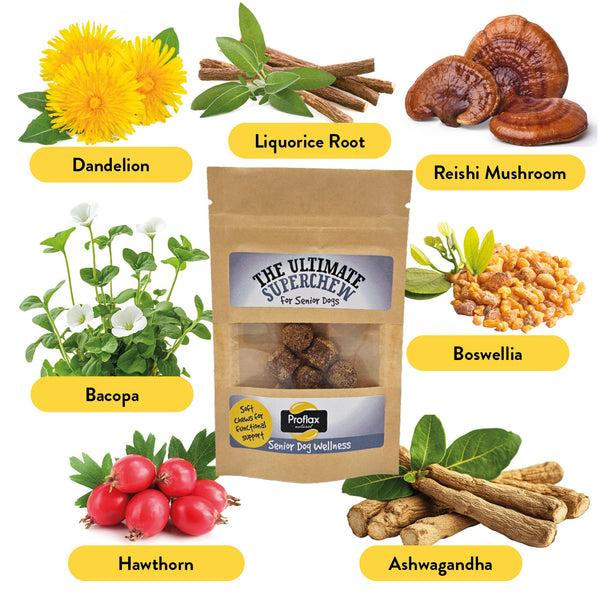 Proflax Soft Chews For Functional Support - Senior (Pocket Pack)