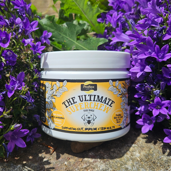 Proflax Soft Chews For Functional Support - Skin Gut & Immune