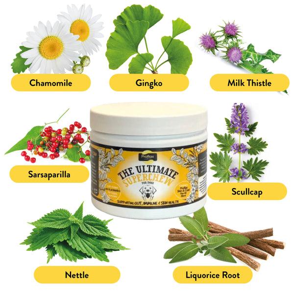 Proflax Soft Chews For Functional Support - Skin Gut & Immune