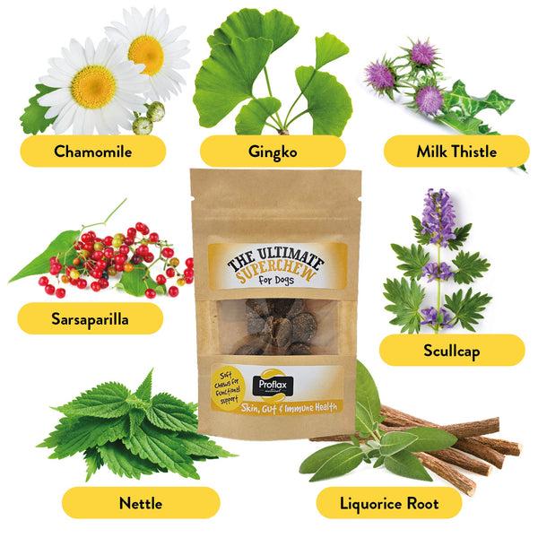 Proflax Soft Chews For Functional Support - Skin Gut & Immune (Pocket Pack)