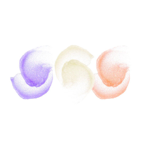 Profusion Cosmetics Empowered Butterfly | Glassy Lip Gloss Set