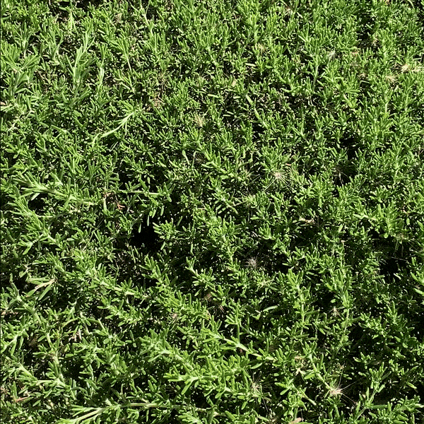 Profusion Cosmetics Jurassic World | Mosasaurus Mist