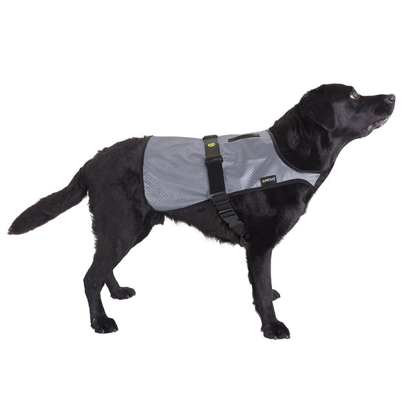 Proviz Fully Reflective Explorer Dog Vest