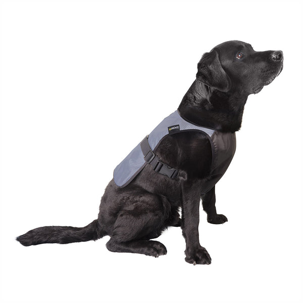 proviz Fully Reflective Explorer Dog Vest