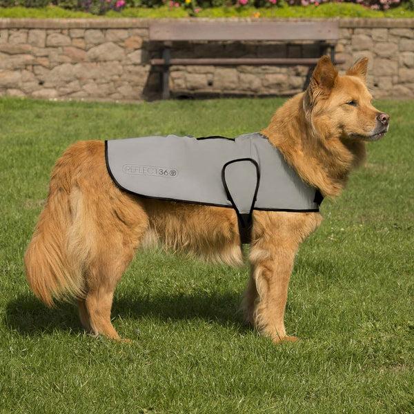 Proviz Reflective Waterproof Dog Coat