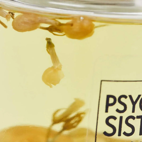 Psychic Sisters Citrine Infused Reed Diffuser