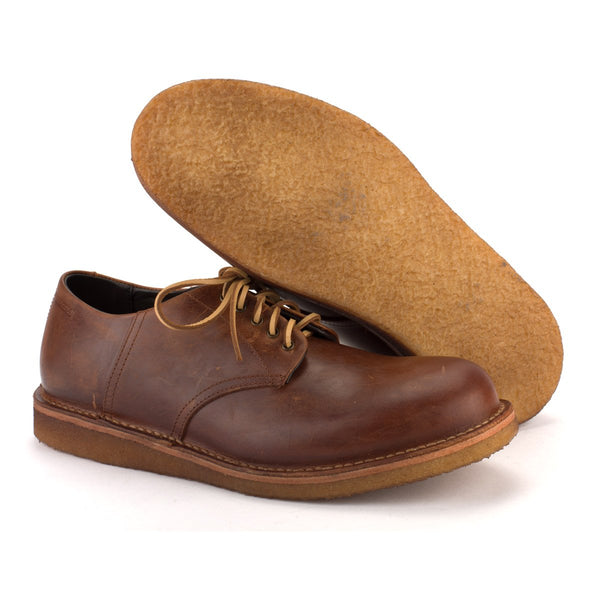 Punto Pigro MR BILL DERBY – Tan