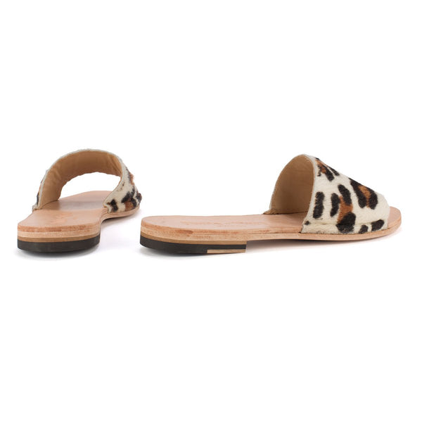 Punto Pigro SAN 10 – Wild Pony