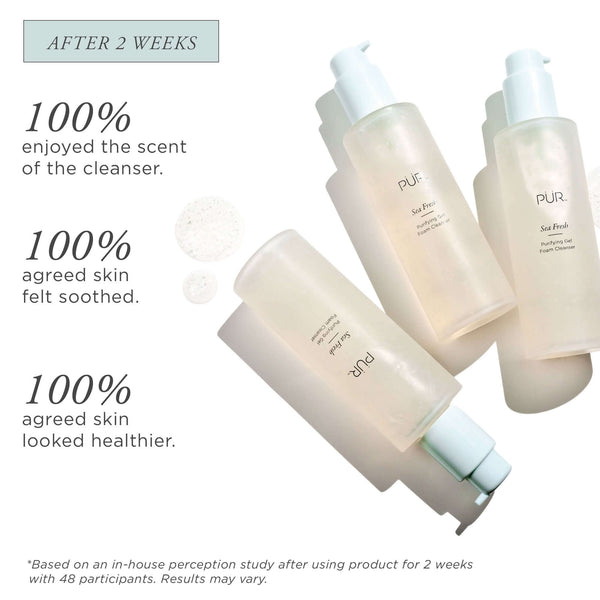 Pür Cosmetics Sea Fresh Purifying Gel Foam Cleanser