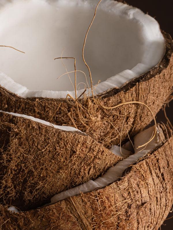Pura Coconut Calm