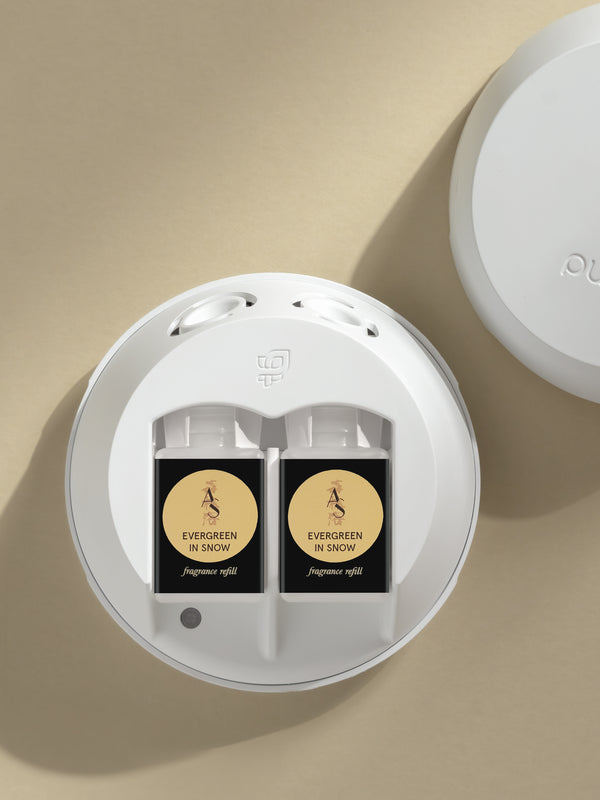 Pura Evergreen In Snow