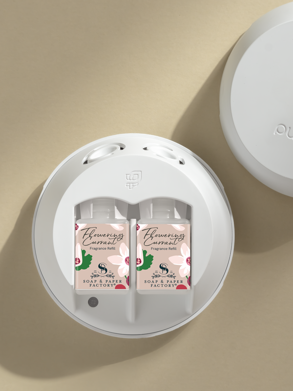 Pura Flowering Currant