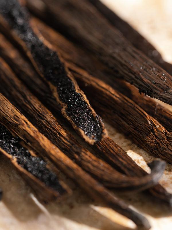 Pura Havana Vanilla