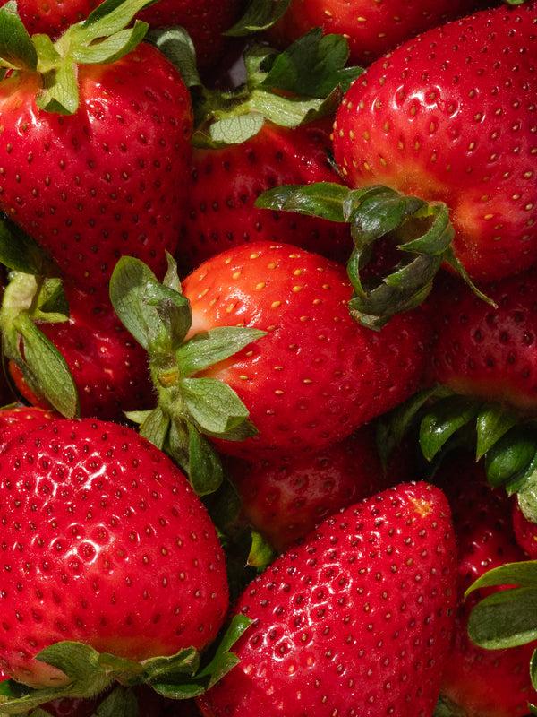 Pura Let’s Celebrate