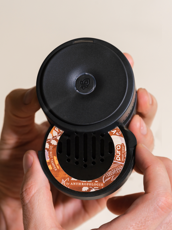 Pura Pumpkin & Sweet Vanilla