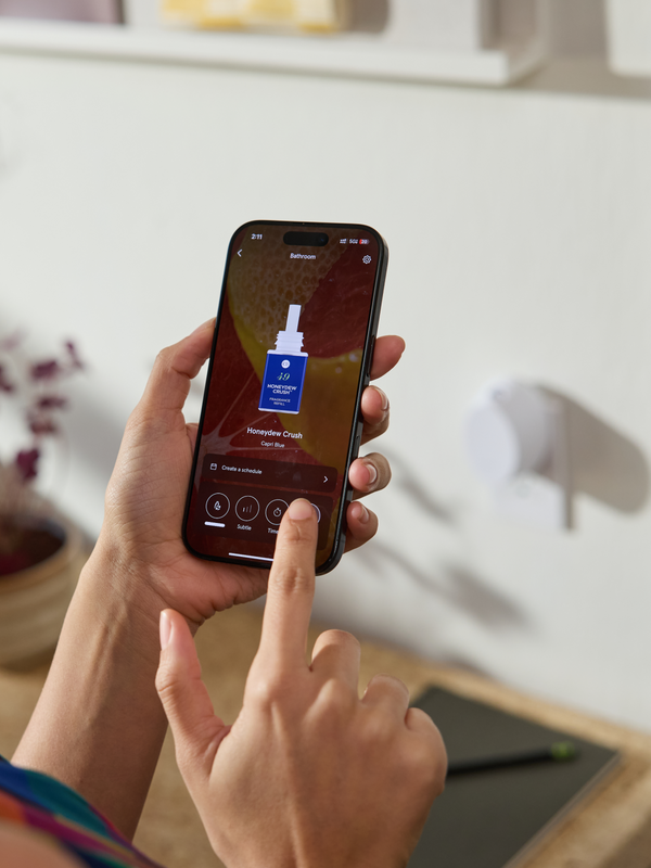 Pura Pura Mini ™ Bundle