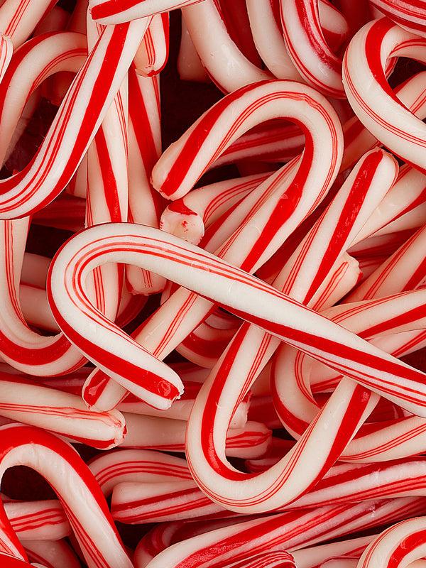 Pura Santa's Workshop