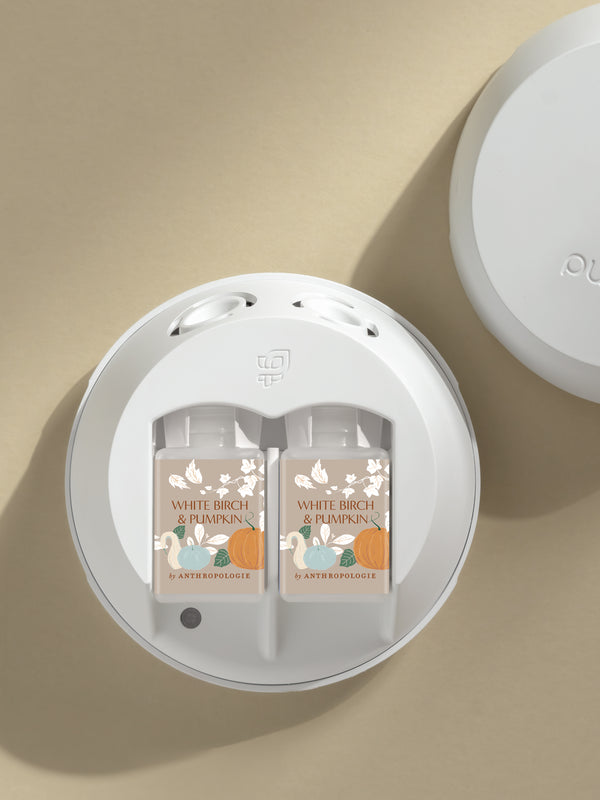 Pura White Birch & Pumpkin