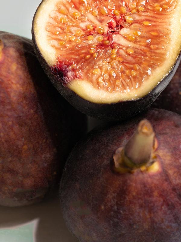 Pura Winter Bayberry