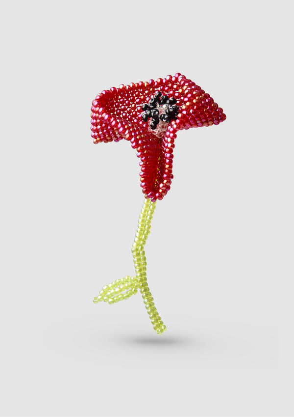 pura utz Big Poppy Ear Stick