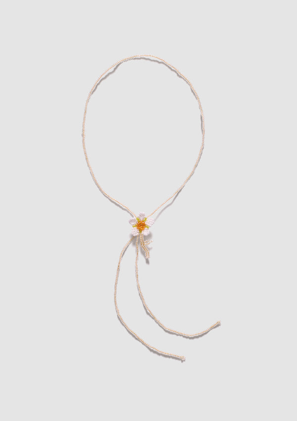 pura utz Daisy Tie Bolo
