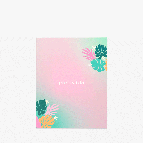 pura vida 12 Day Advent Calendar 2024