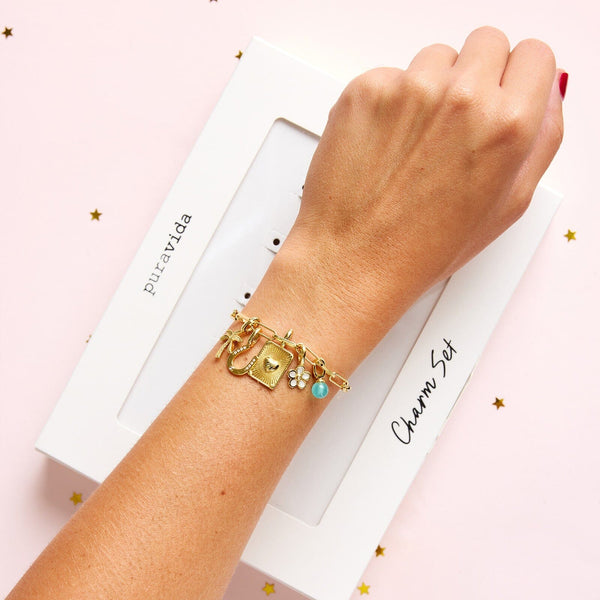 Pura Vida Harper Bracelet & Charms Box