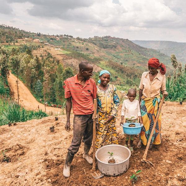 Pura Vida One Tree Planted Bracelet