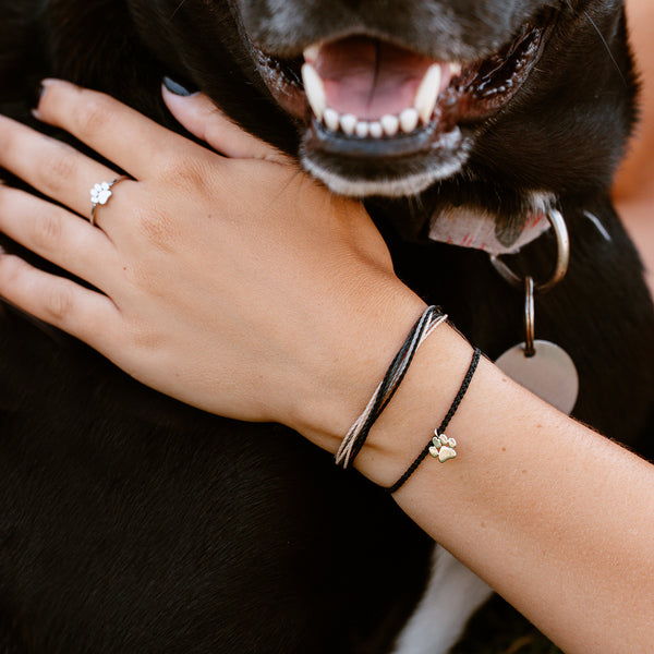 Pura Vida Pet Rescue Bracelet