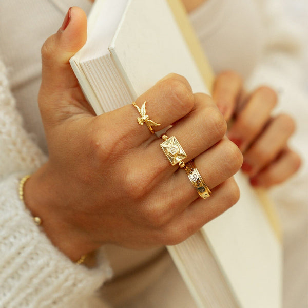 Pura Vida Seeker Fidget Ring